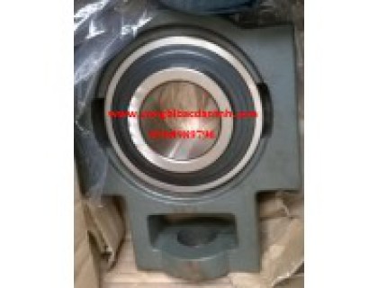 GỐI ĐỠ UCT320